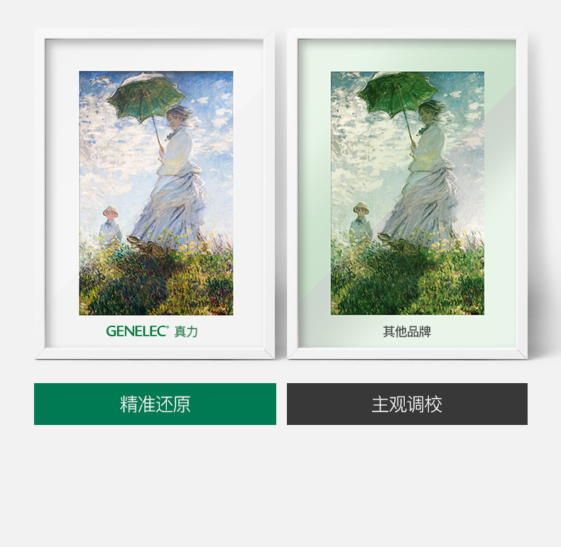 GENELEC真力8030CP插图6