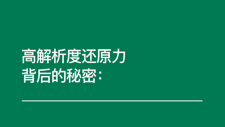 GENELEC真力8010AP插图9