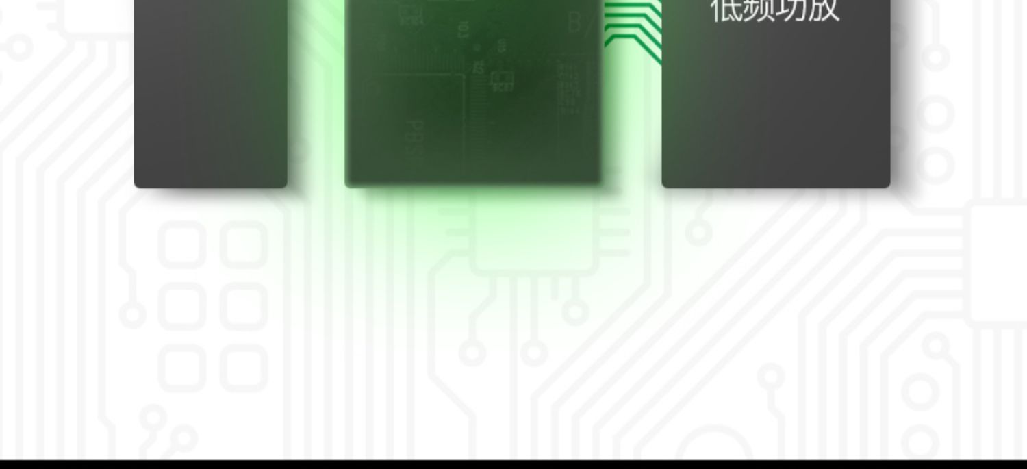 GENELEC真力8010AP插图15