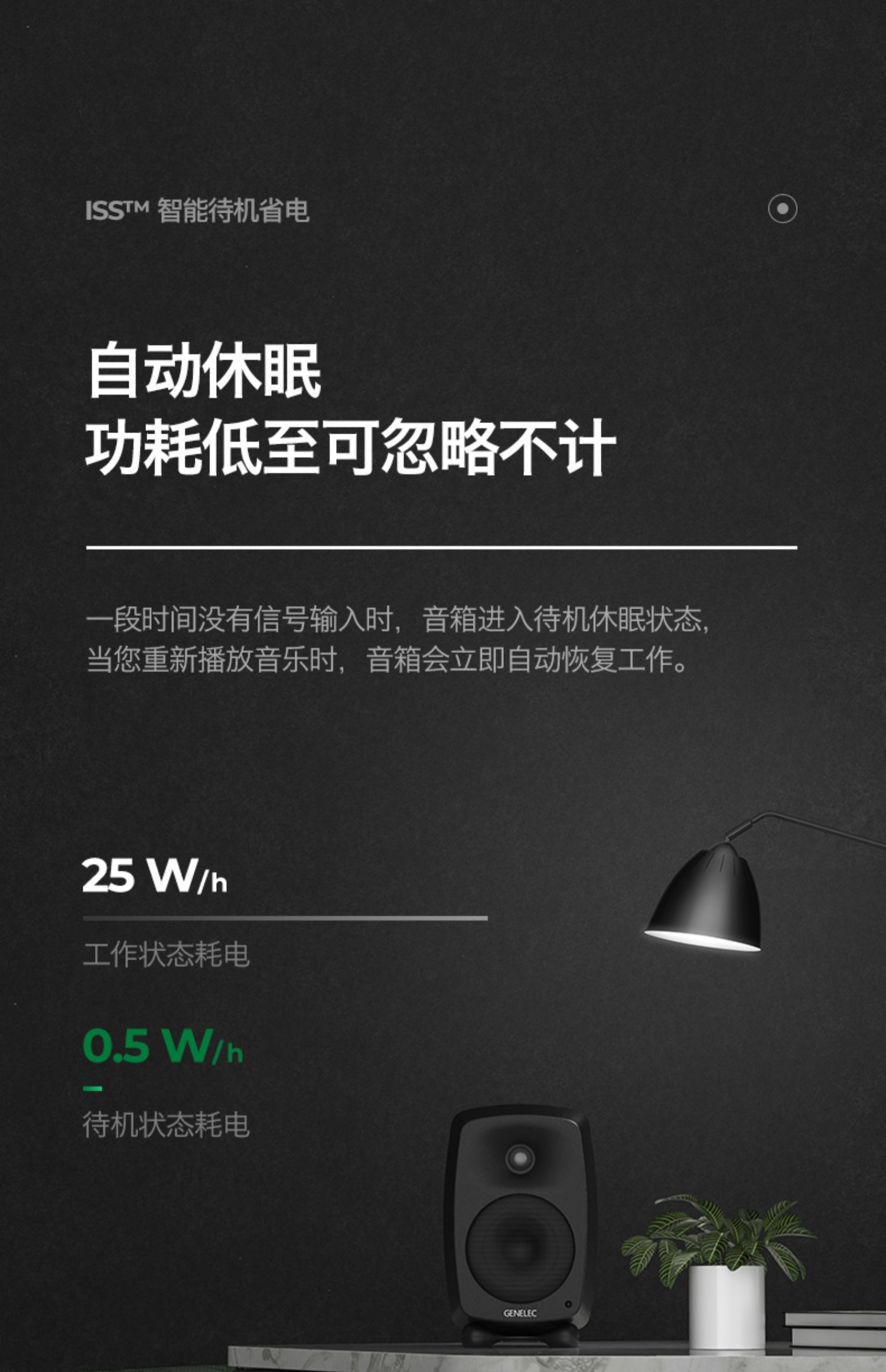 GENELEC真力8010AP插图25