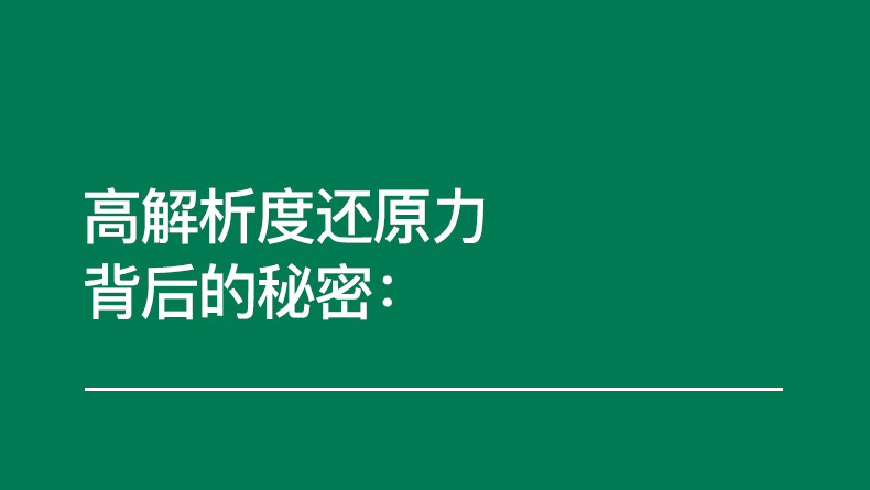 GENELEC真力8020DPM插图17