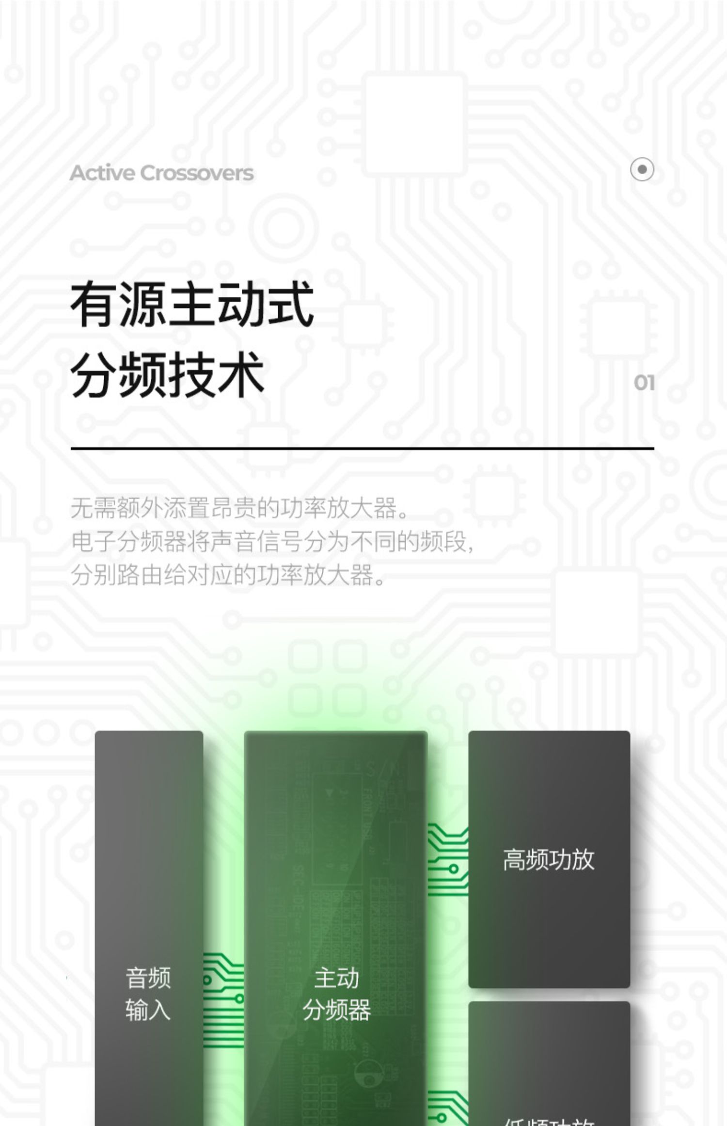 GENELEC真力8020DPM插图18