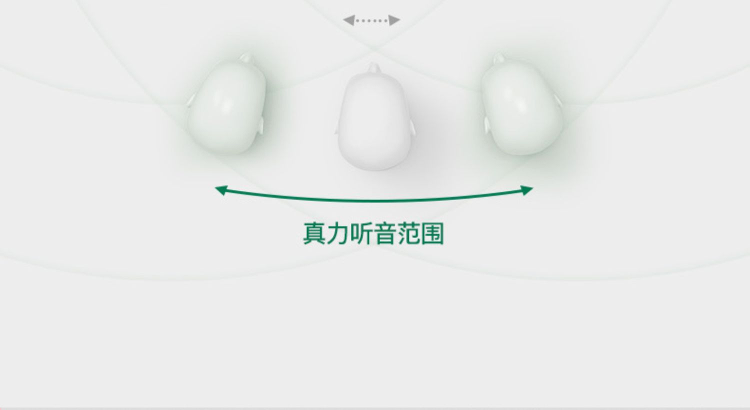 GENELEC真力8020DPM插图29