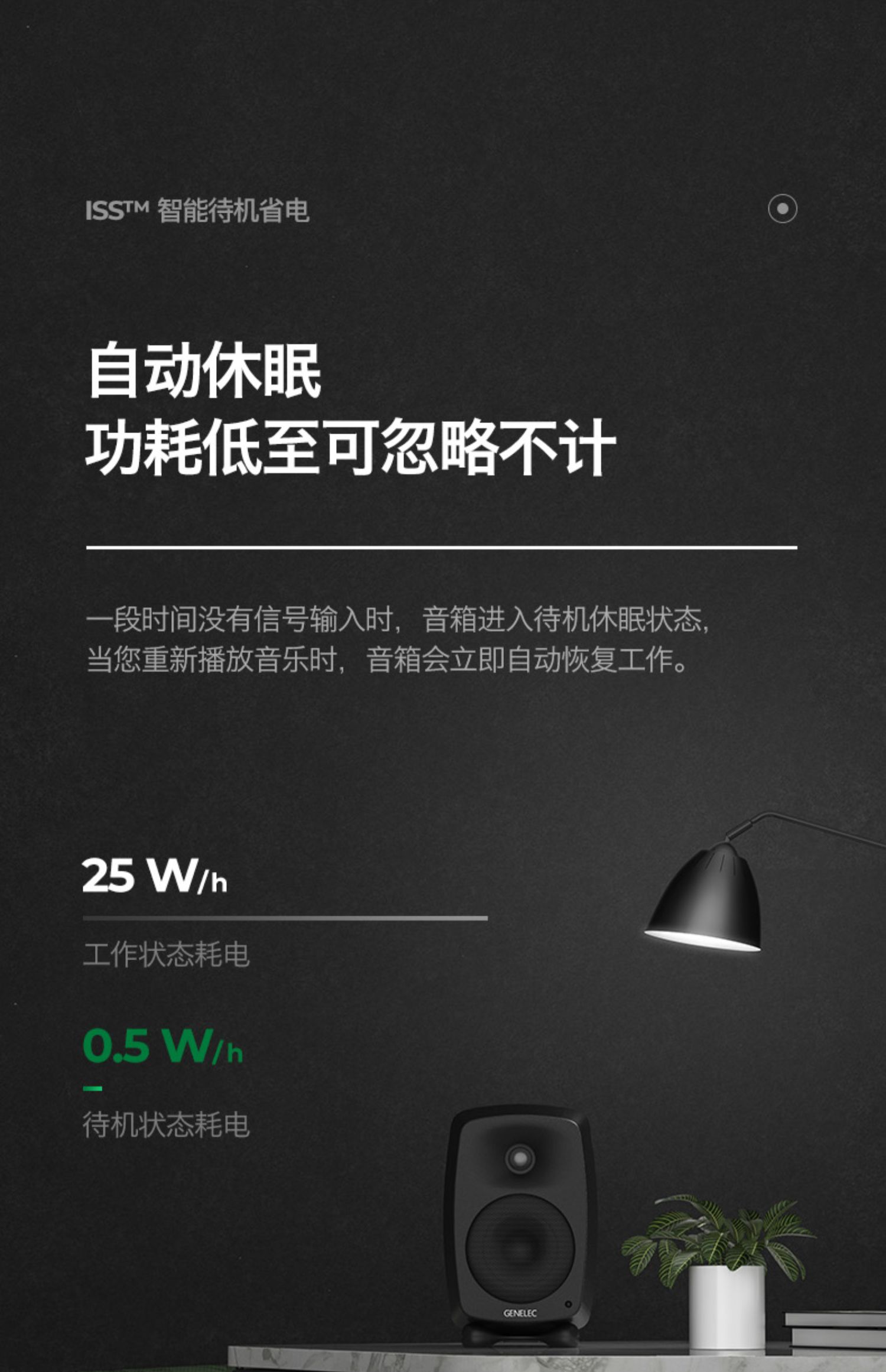 GENELEC真力8020DPM插图30